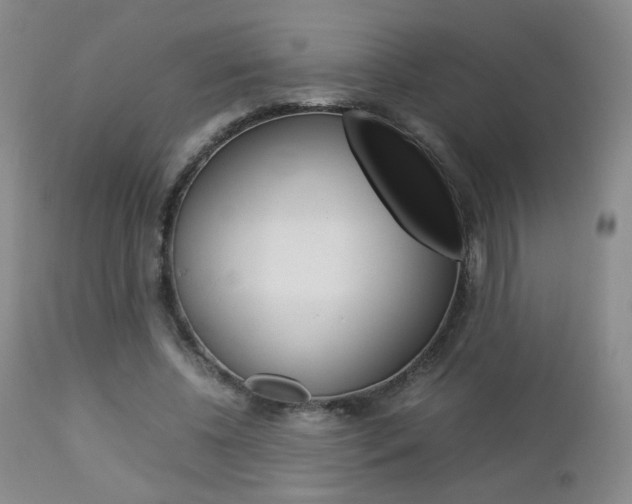 X0000112770540200908201352