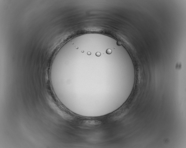 X0000112770541200908201352