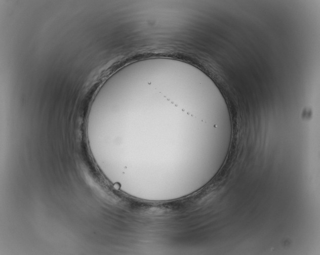 X0000112770542200908201352