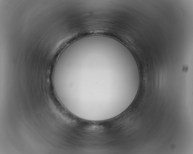 X0000112770543200908201352
