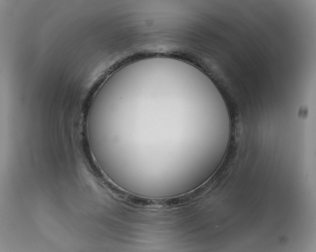 X0000112770544200908201352