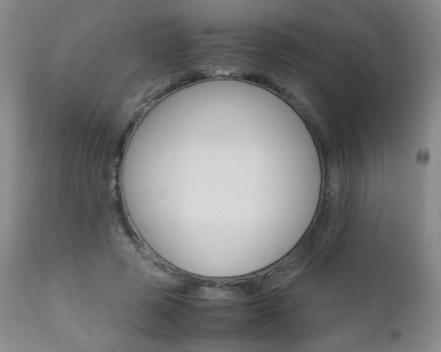 X0000112770545200908201352