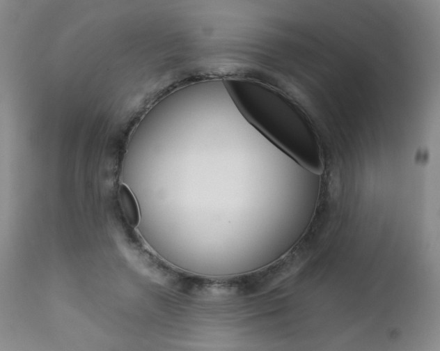 X0000112770546200908201352
