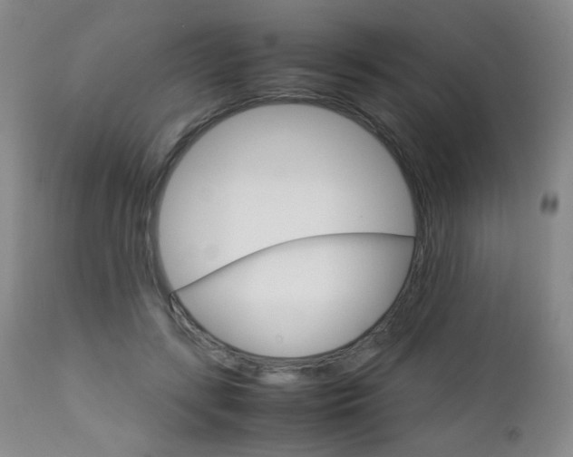 X0000112770547200908201352