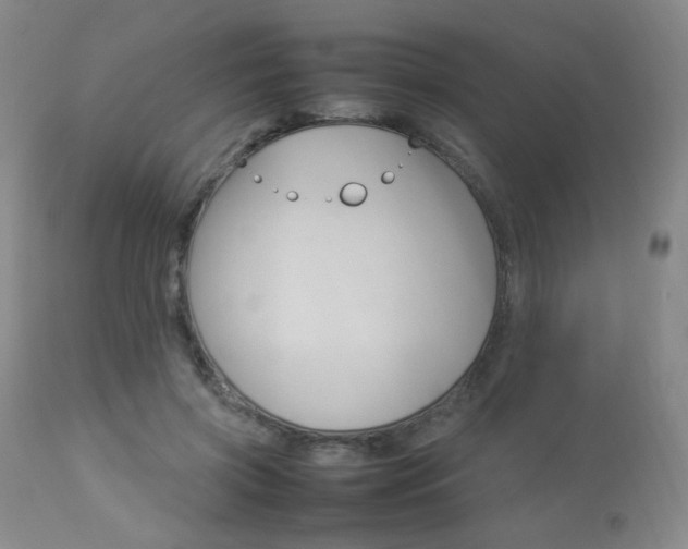 X0000112770549200908201352
