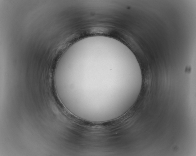 X0000112770551200908201352