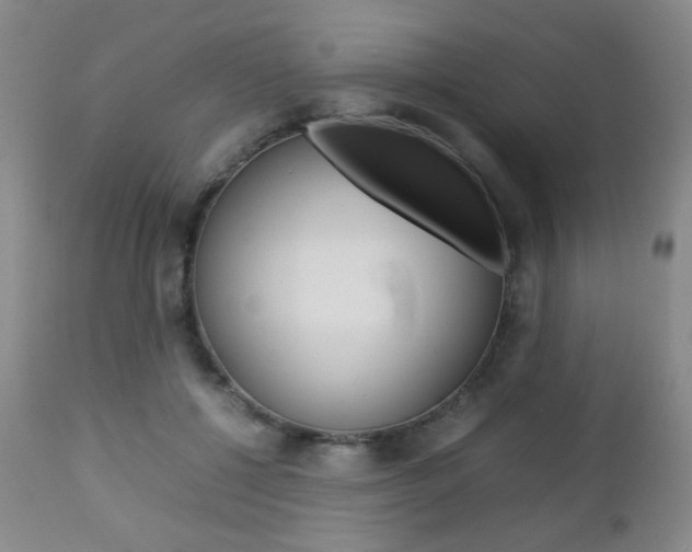 X0000112770552200908201352