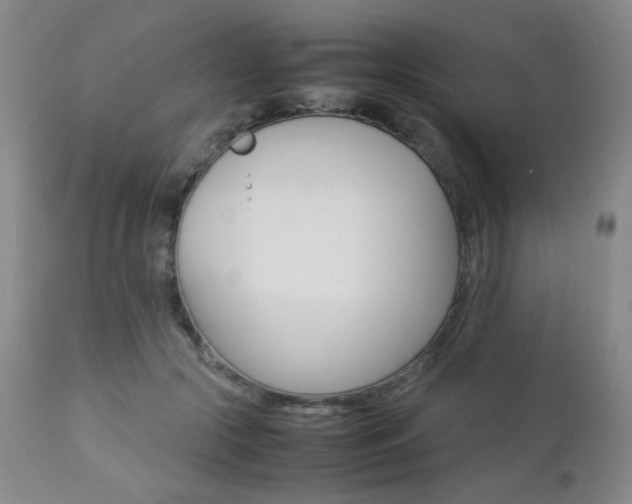 X0000112770553200908201352
