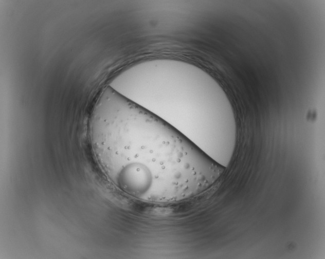 X0000112770554200908201352