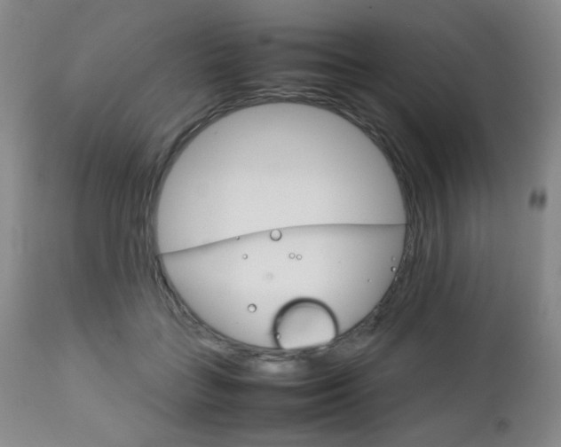 X0000112770555200908201352