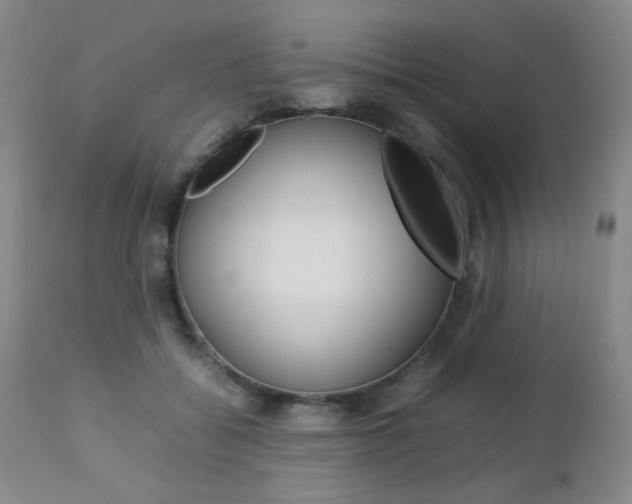 X0000112770556200908201352