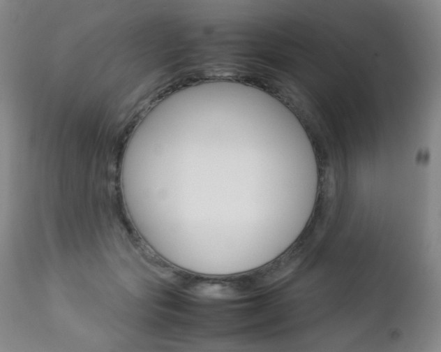 X0000112770557200908201352