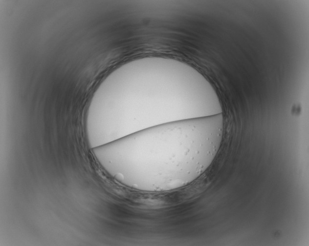 X0000112770559200908201353
