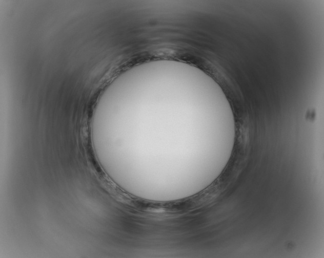 X0000112770561200908201353