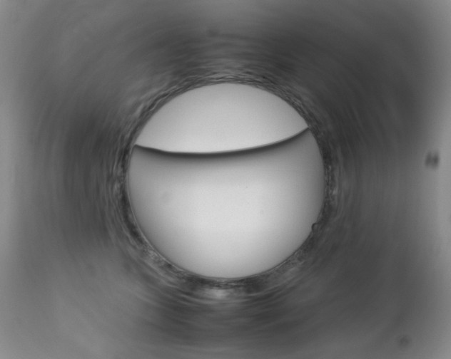 X0000112770563200908201353