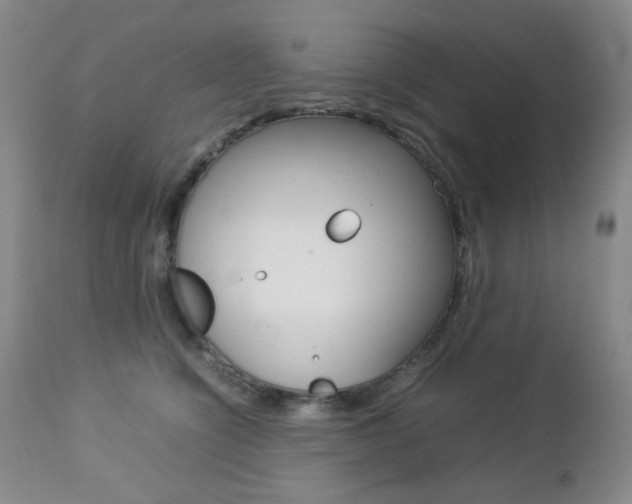 X0000112770564200908201353