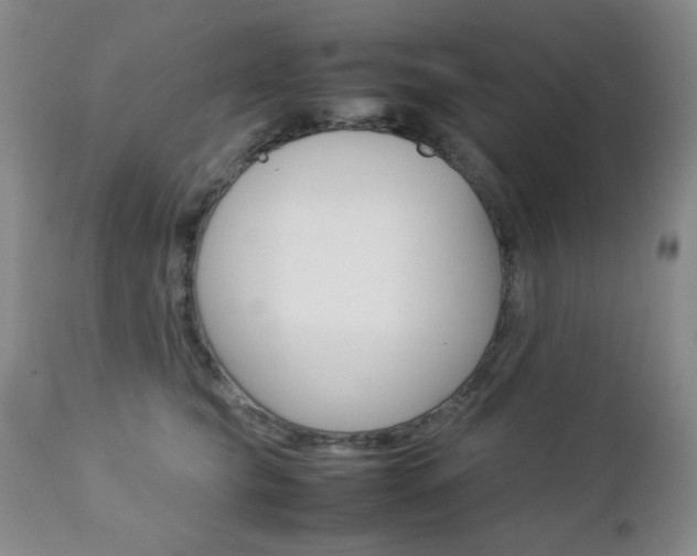 X0000112770565200908201353