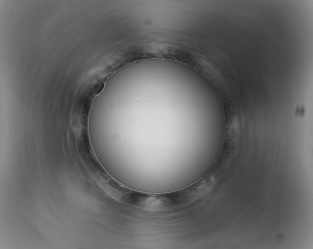 X0000112770566200908201353