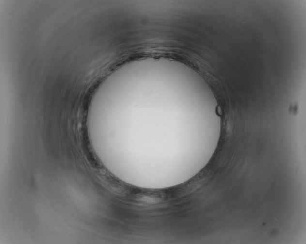 X0000112770567200908201353