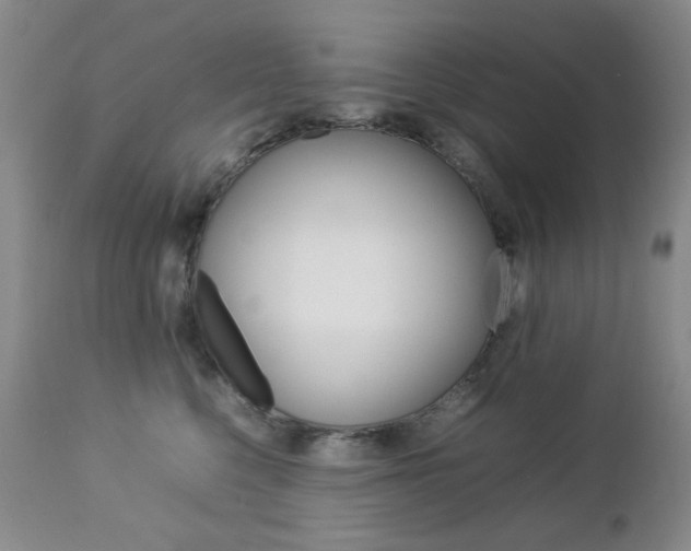 X0000112770568200908201353