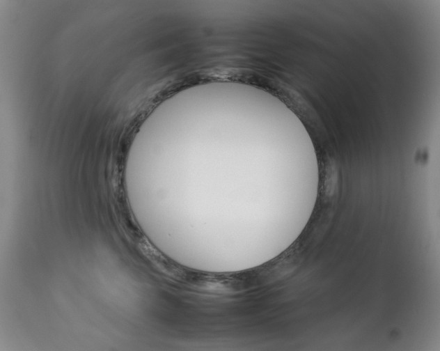 X0000112770569200908201353