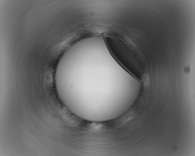 X0000112770570200908201353
