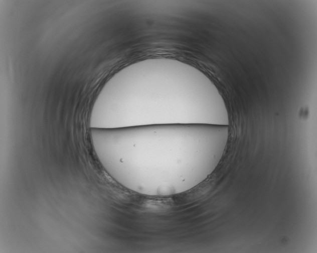 X0000112770571200908201353
