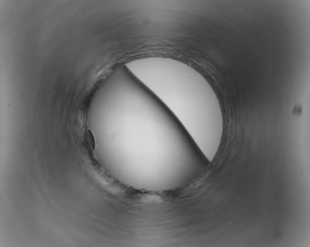 X0000112770572200908201353