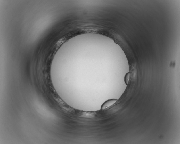 X0000112770573200908201353