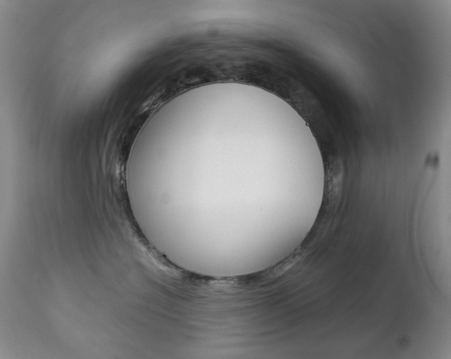 X0000112770574200908201353