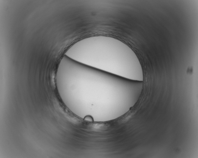 X0000112770575200908201353