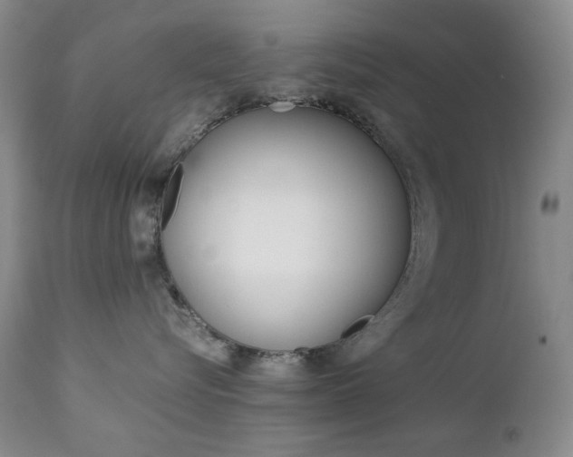 X0000112770576200908201353