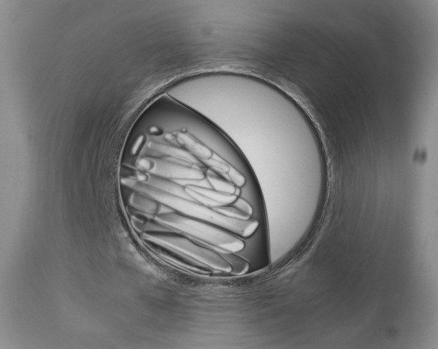 X0000112770577200908201352