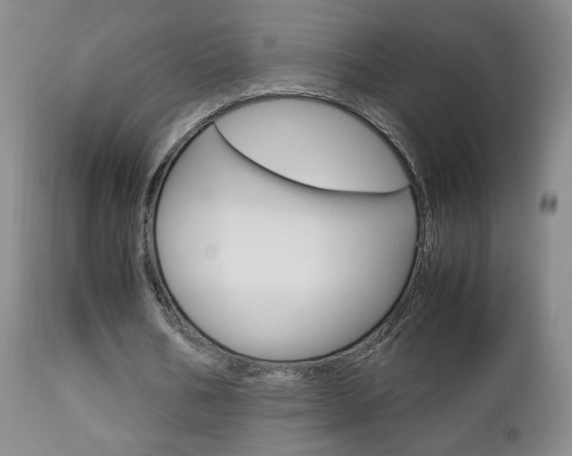X0000112770578200908201352
