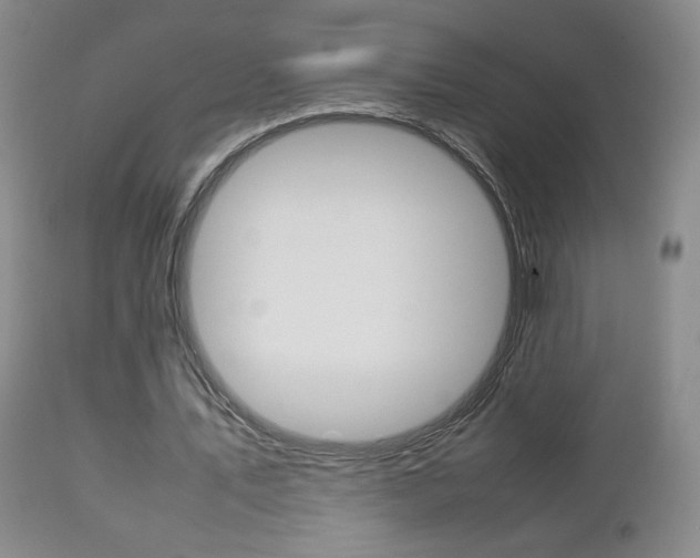 X0000112770579200908201352