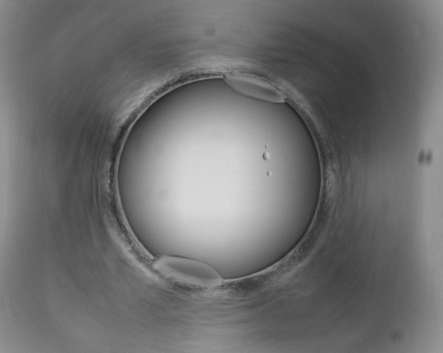 X0000112770581200908201352