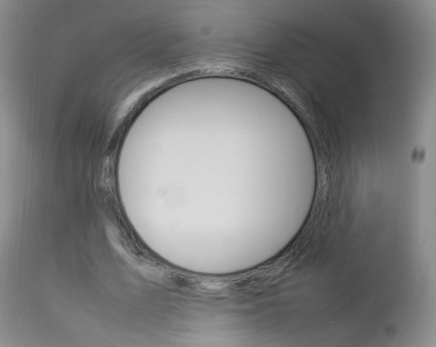 X0000112770583200908201352