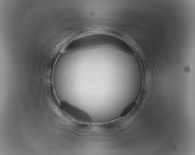 X0000112770585200908201352