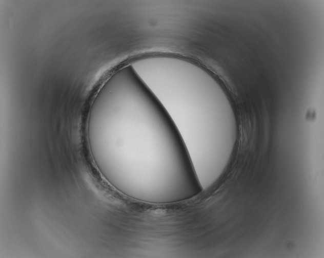 X0000112770588200908201352