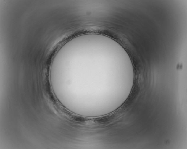X0000112770591200908201352