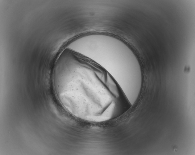 X0000112770592200908201352