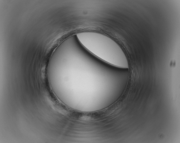 X0000112770596200908201352