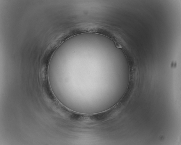 X0000112770597200908201352