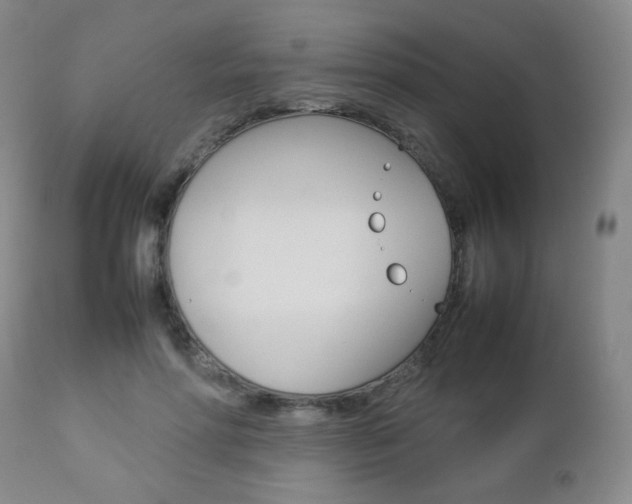 X0000112770598200908201352