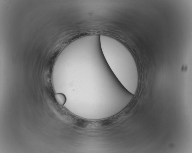 X0000112770599200908201352
