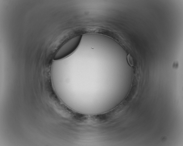 X0000112770601200908201352