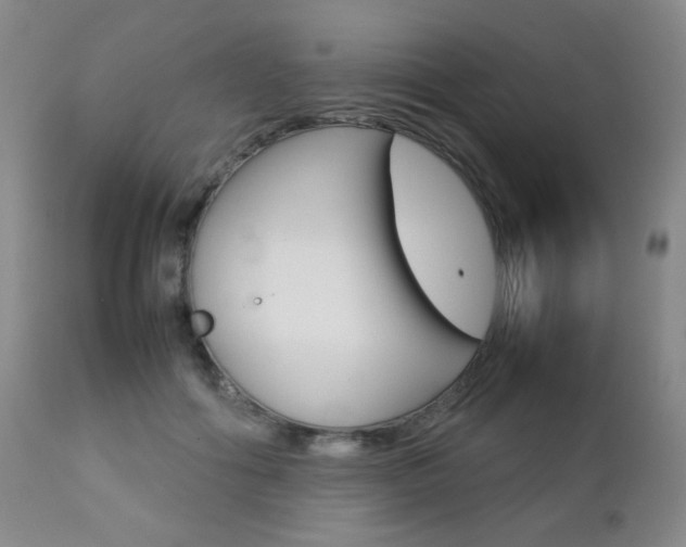 X0000112770602200908201352