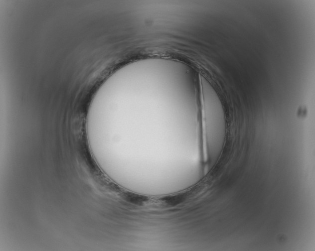 X0000112770603200908201352