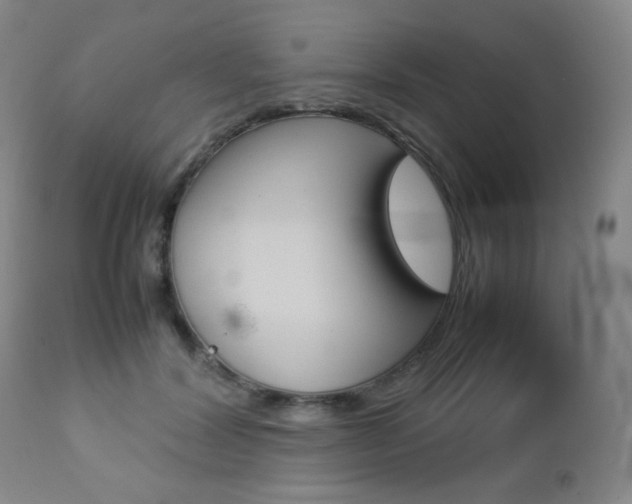 X0000112770604200908201352