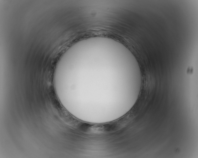 X0000112770606200908201352